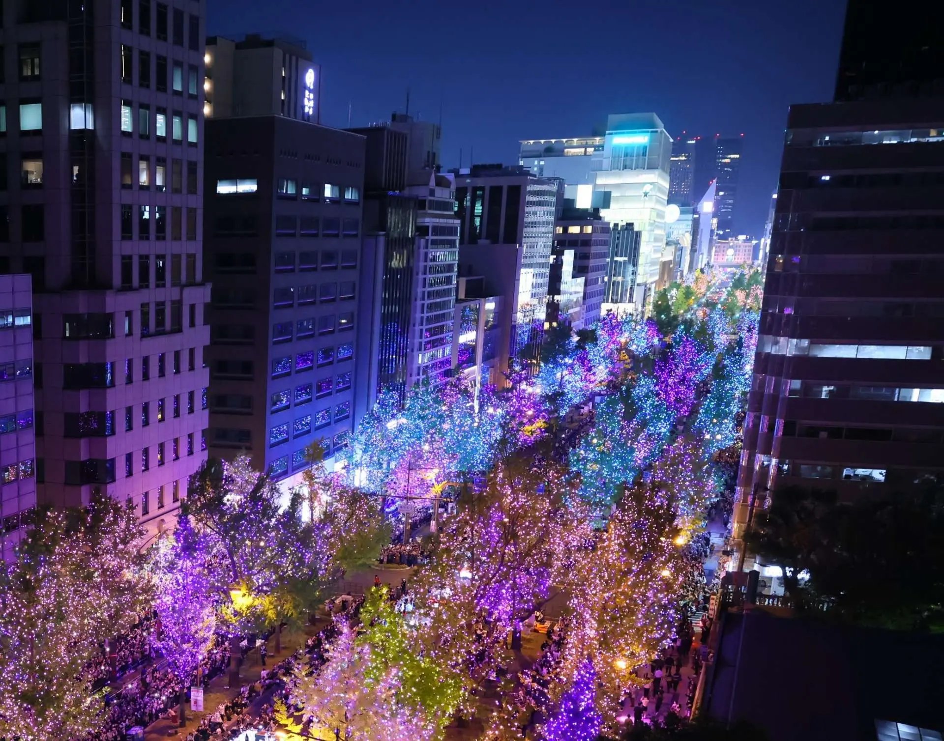 🌉 요도야 다리(요도야바시) 이미지 9